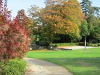 L'automne dans le parc